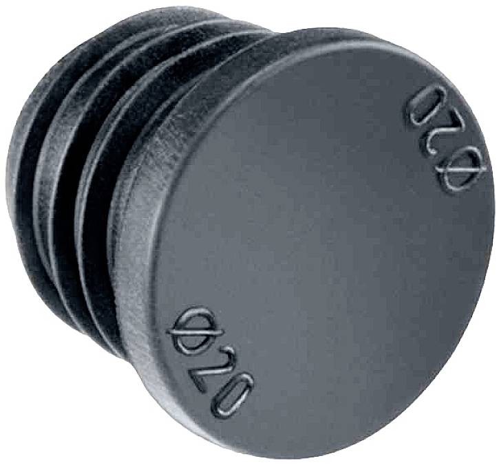 Schwarze, runde Kunststoffkappe mit eingeprägtem Durchmesser von 20 mm, gedacht als Endkappe für ein Rohr.