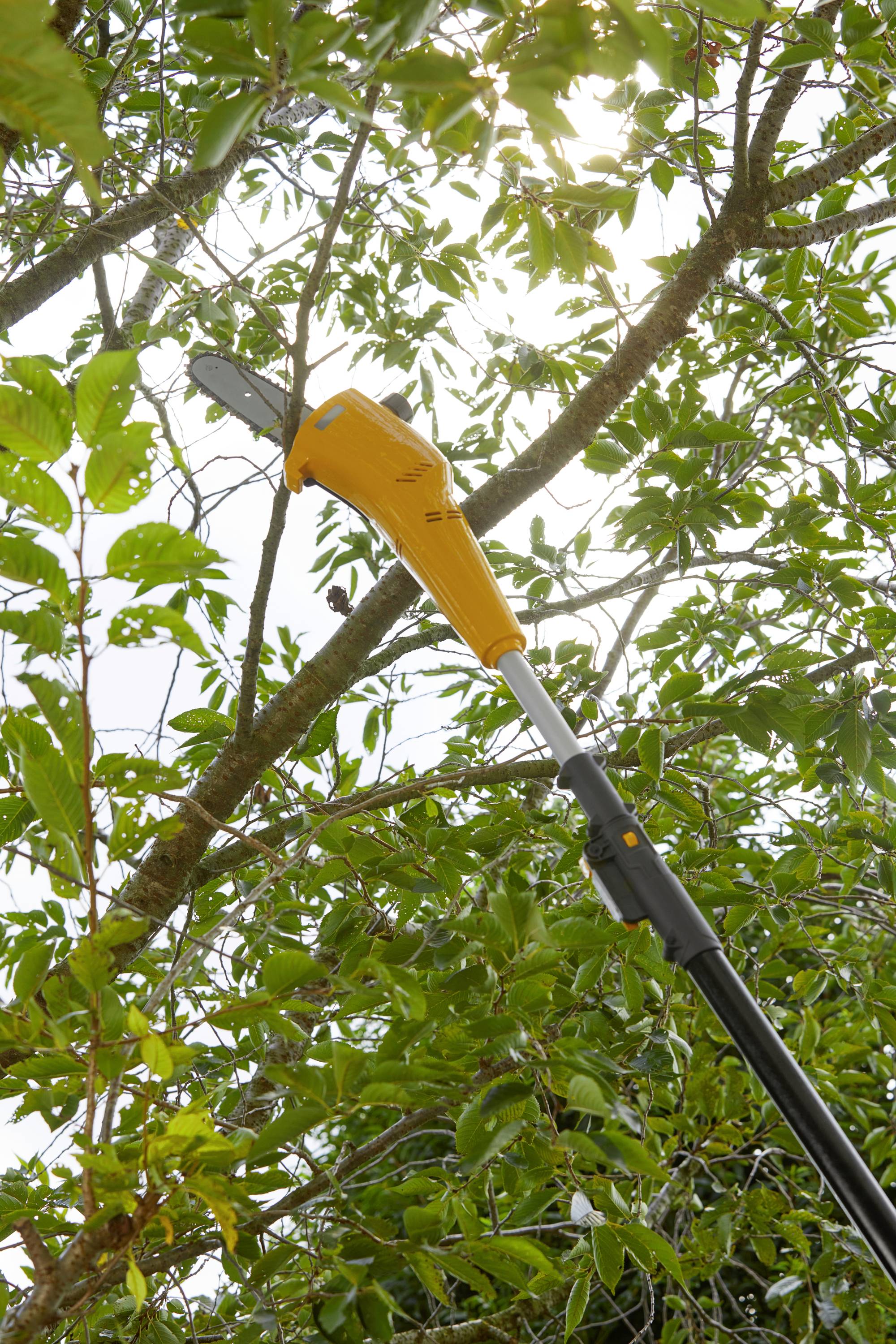Eine Astsäge schneidet hohe Zweige in einem Baum bei Sonnenschein.