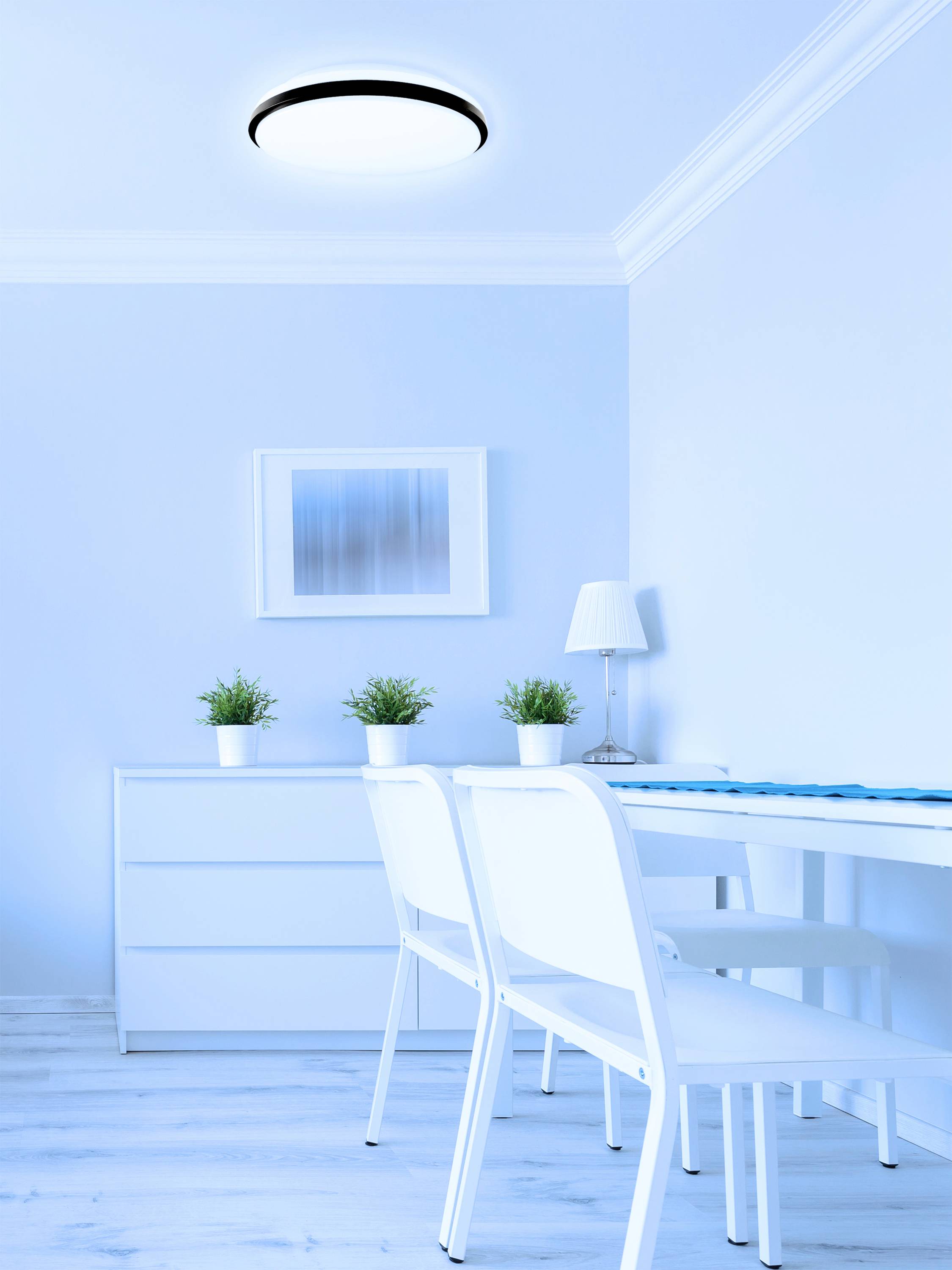 Müller-Licht 21000070 Taro Round 30 LED-Deckenleuchte LED 18W Weiß, Schwarz