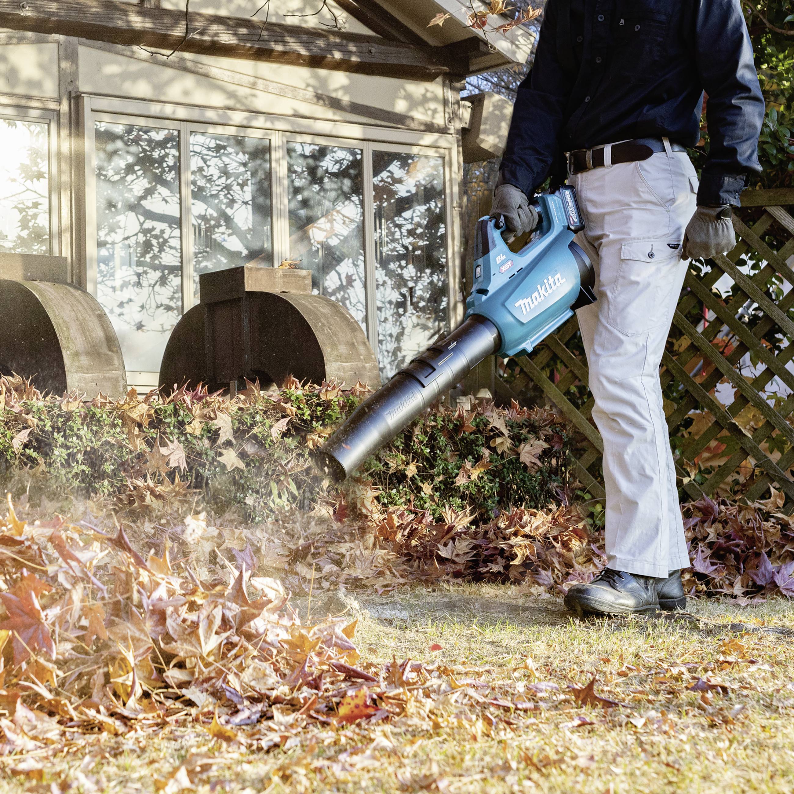 Eine Person benutzt einen Laubbläser, um Herbstlaub im Vorgarten eines Hauses zu entfernen. Die Sonne scheint auf Glasfenster im Hintergrund.