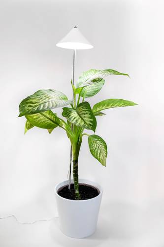 Venso LED-Pflanzenlampe Wachstum SUNLiTE XL 25W Weiß 230V LED fest eingebaut 25W Neutralweiß 1St.