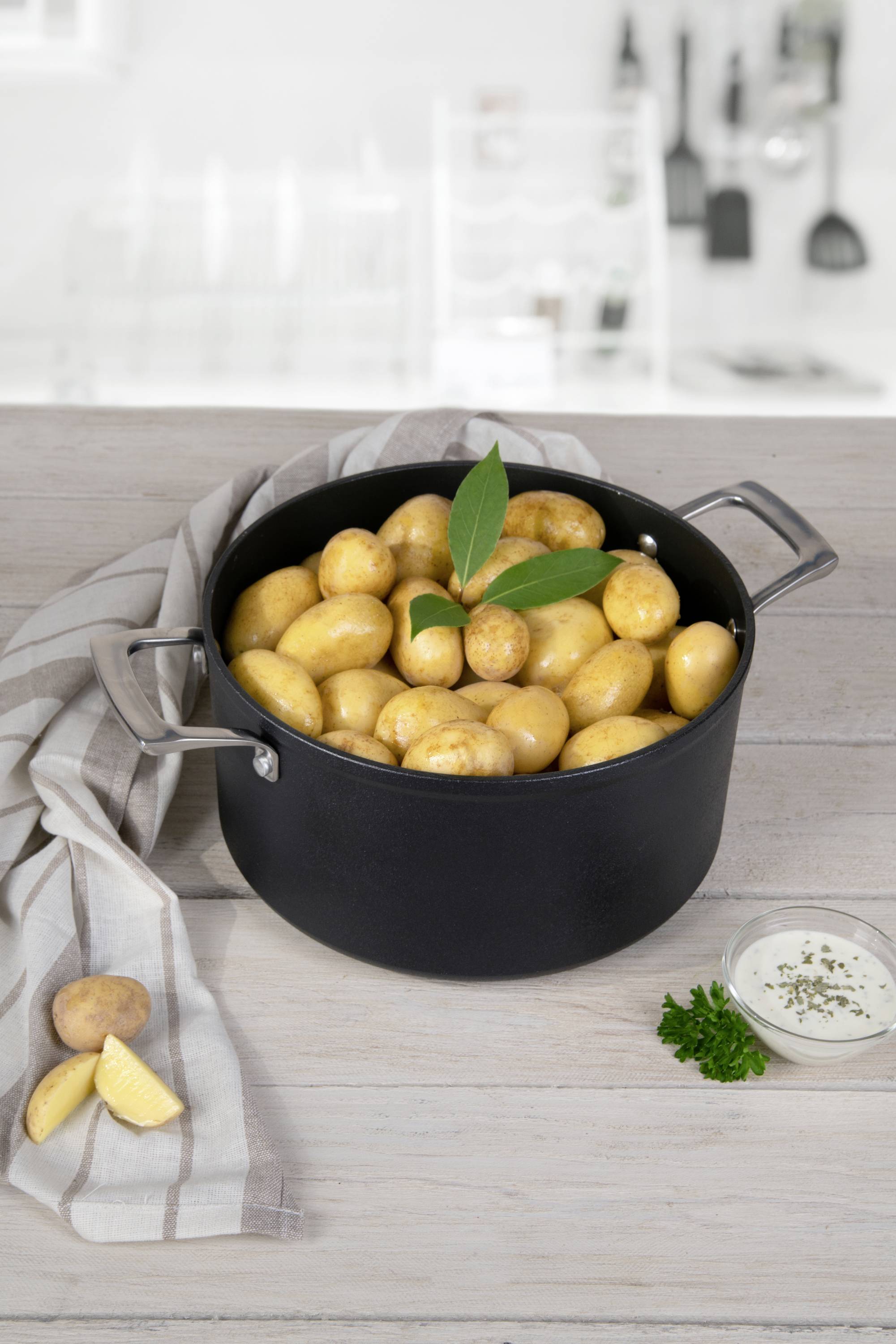 CERAFIT 24693 Plasma Kochtopf 24 cm 2teilig