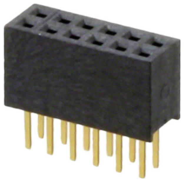 Ein schwarzer, rechteckiger 2x6-Stecker mit vergoldeten Stiften, der in elektronischen Schaltungen verwendet wird, von einem Winkel aus fotografiert, der die Stiftausrichtung zeigt.