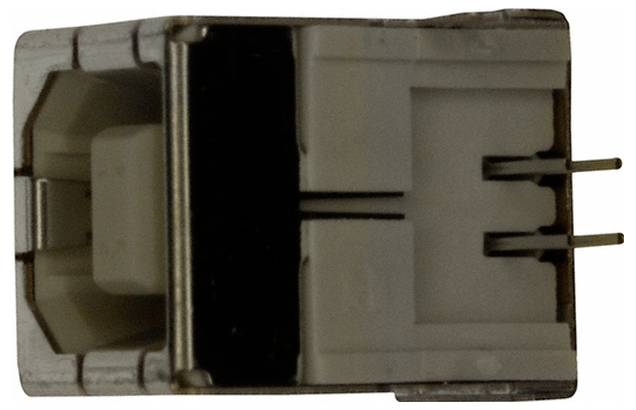 Ein Nahaufnahmebild eines weißen und metallischen USB-Steckers, das sein Stift- und Gehäusedesign aus der Vorderansicht zeigt.