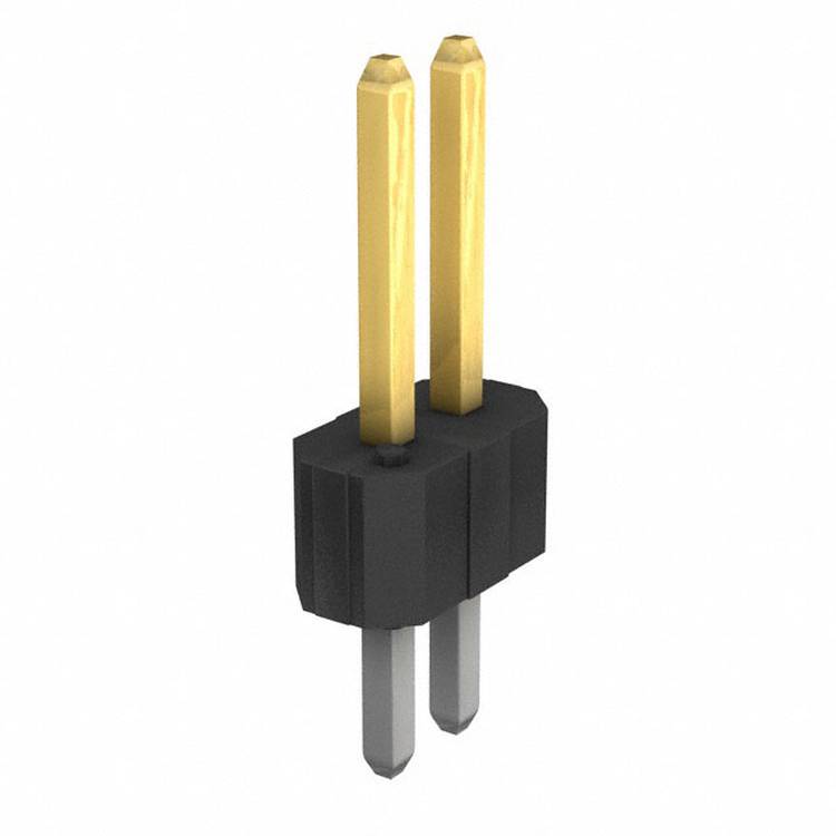 Eine Nahaufnahme eines schwarzen und goldenen Dual-Pin-Steckers, die zwei goldfarbene Stifte zeigt, die aus einer rechteckigen schwarzen Basis herausragen.