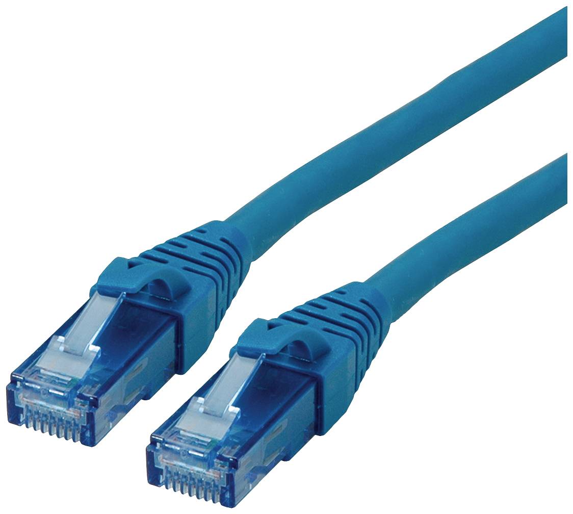 Zwei blaue Ethernet-Kabel mit RJ-45-Steckern. Werden oft für Netzwerkverbindungen verwendet.