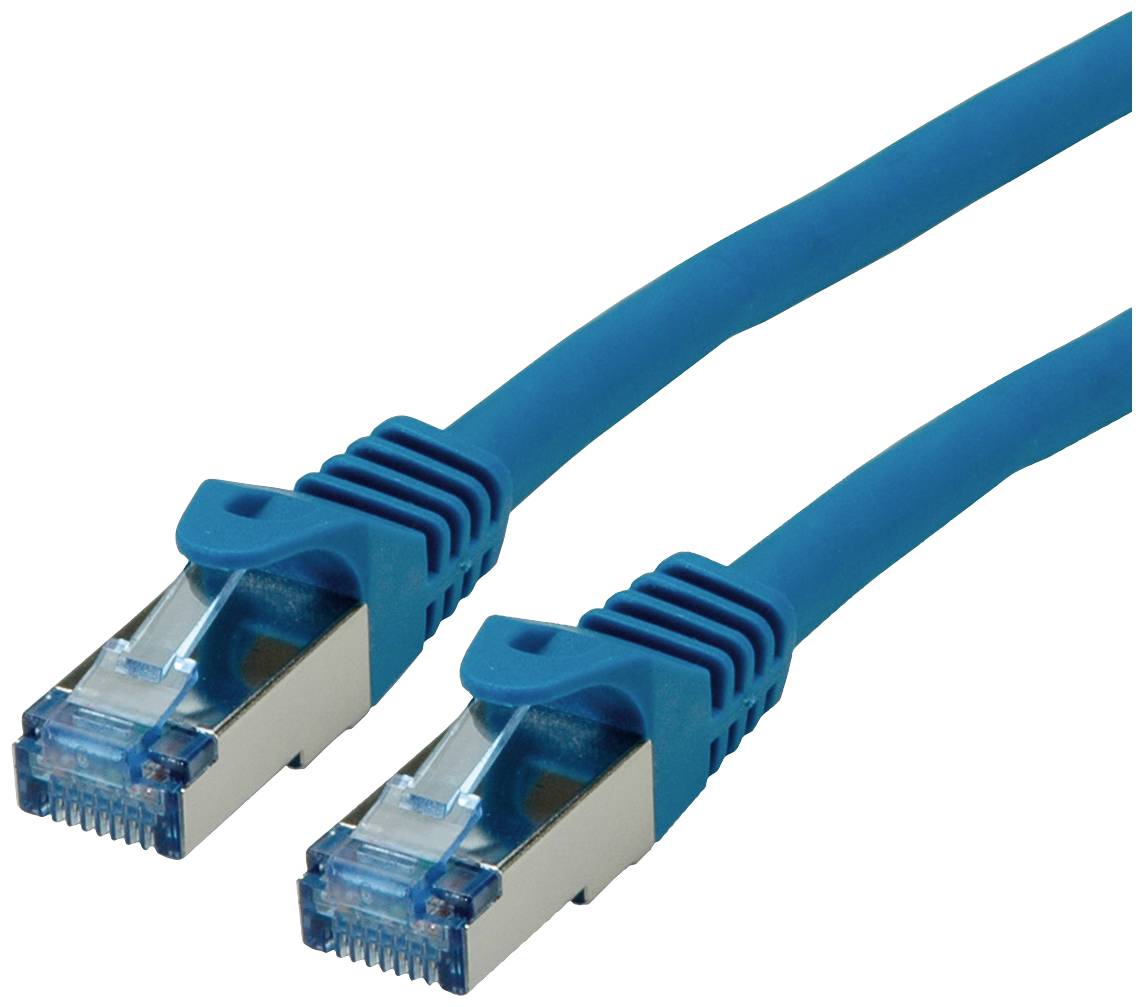 Zwei blaue Ethernet-Kabel mit RJ45-Steckern. Geeignet für die Verbindung von Computern mit Netzwerken oder Internetroutern.