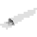 Roline Kabelkanal Weiß (L x B x H) 1.1m x 50mm x 26mm 1 St. 19.08.3111