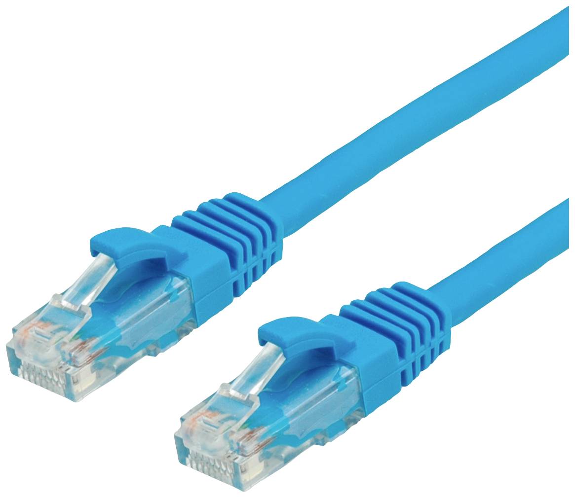 Zwei blaue Ethernet-Kabel mit transparenten Steckern, die für Netzwerkverbindungen verwendet werden.
