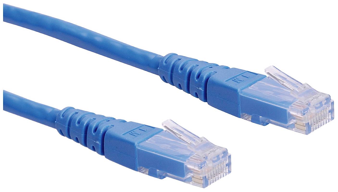 Zwei blaue Ethernet-Kabel mit RJ45-Steckern, die für Netzwerkverbindungen verwendet werden.