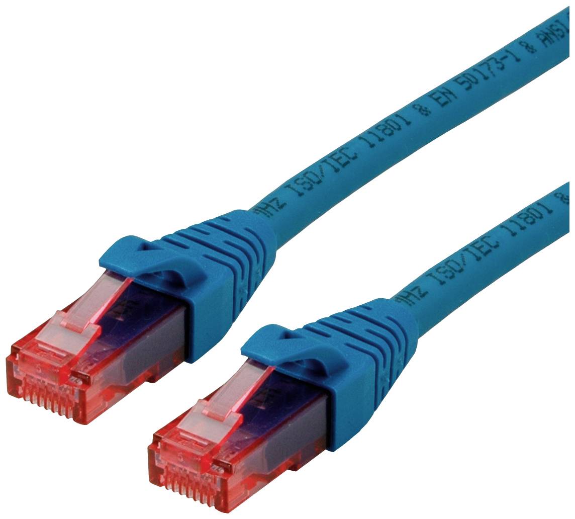 Zwei blaue Ethernet-Kabelenden mit roten, durchsichtigen Steckern, die nebeneinander liegen, auf weißem Hintergrund.