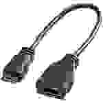 Roline HDMI Anschlusskabel HDMI-A Buchse, HDMI-Mini-C Stecker 0.15m Schwarz 11.04.5586 Geschirmt HDMI-Kabel