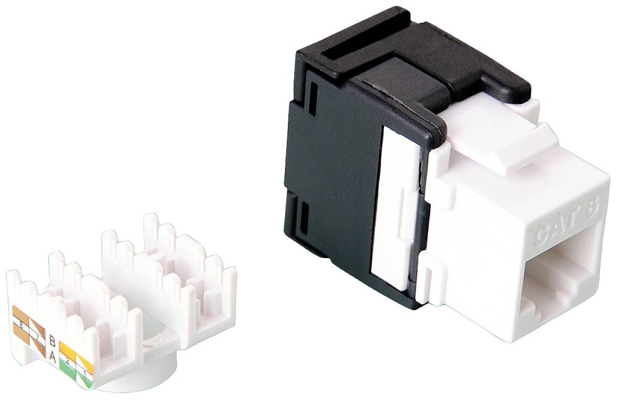 Ein CAT5e-Netzwerkmodul neben einem Adapter zum Crimpen von Netzwerkkabeln. Links markierte Farbcodierungen für die Verkabelung.