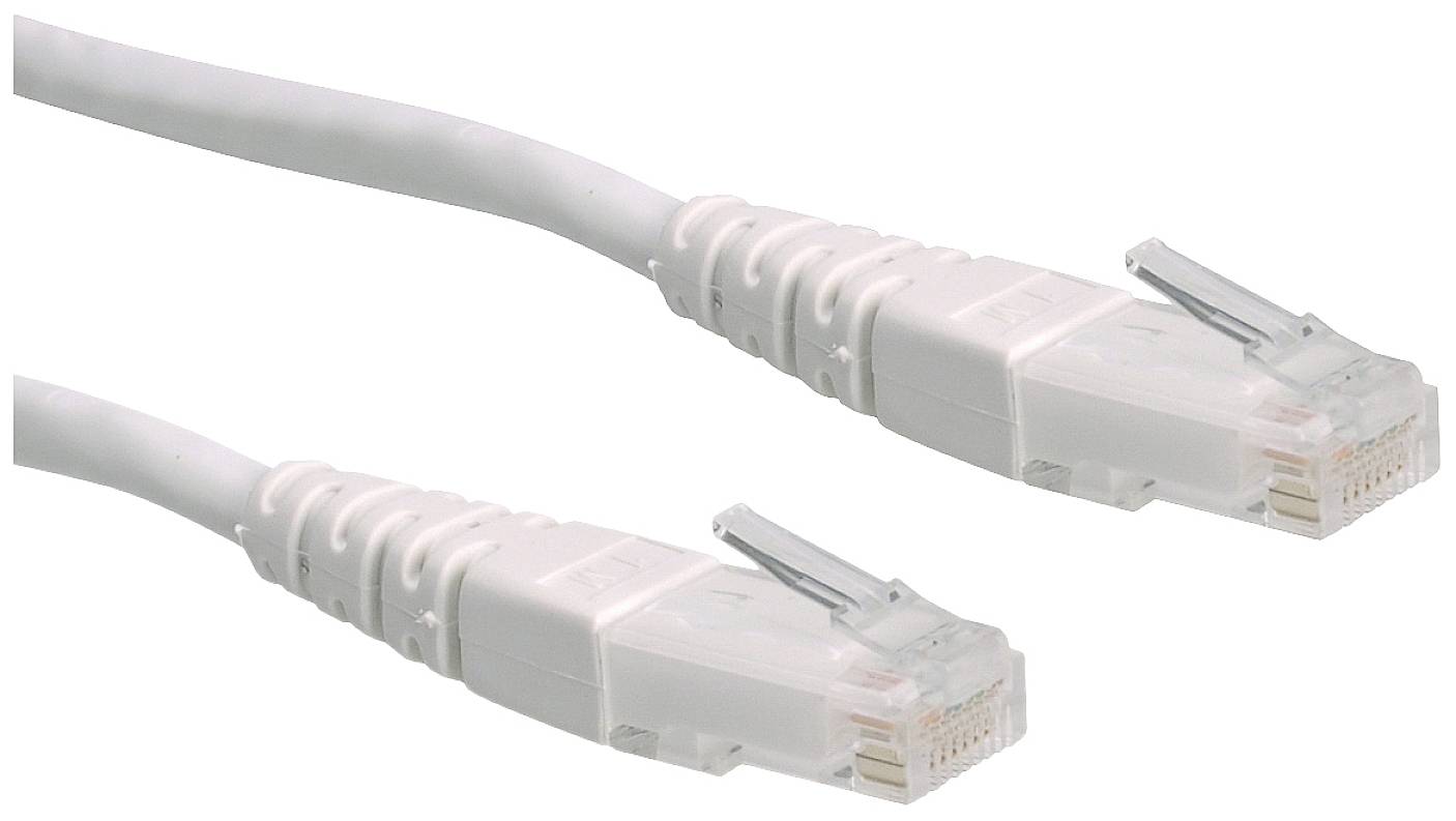 Zwei weiße Ethernet-Kabel mit RJ45-Steckern liegen nebeneinander. Sie dienen zur Verbindung von Netzwerkgeräten für Datenübertragung.