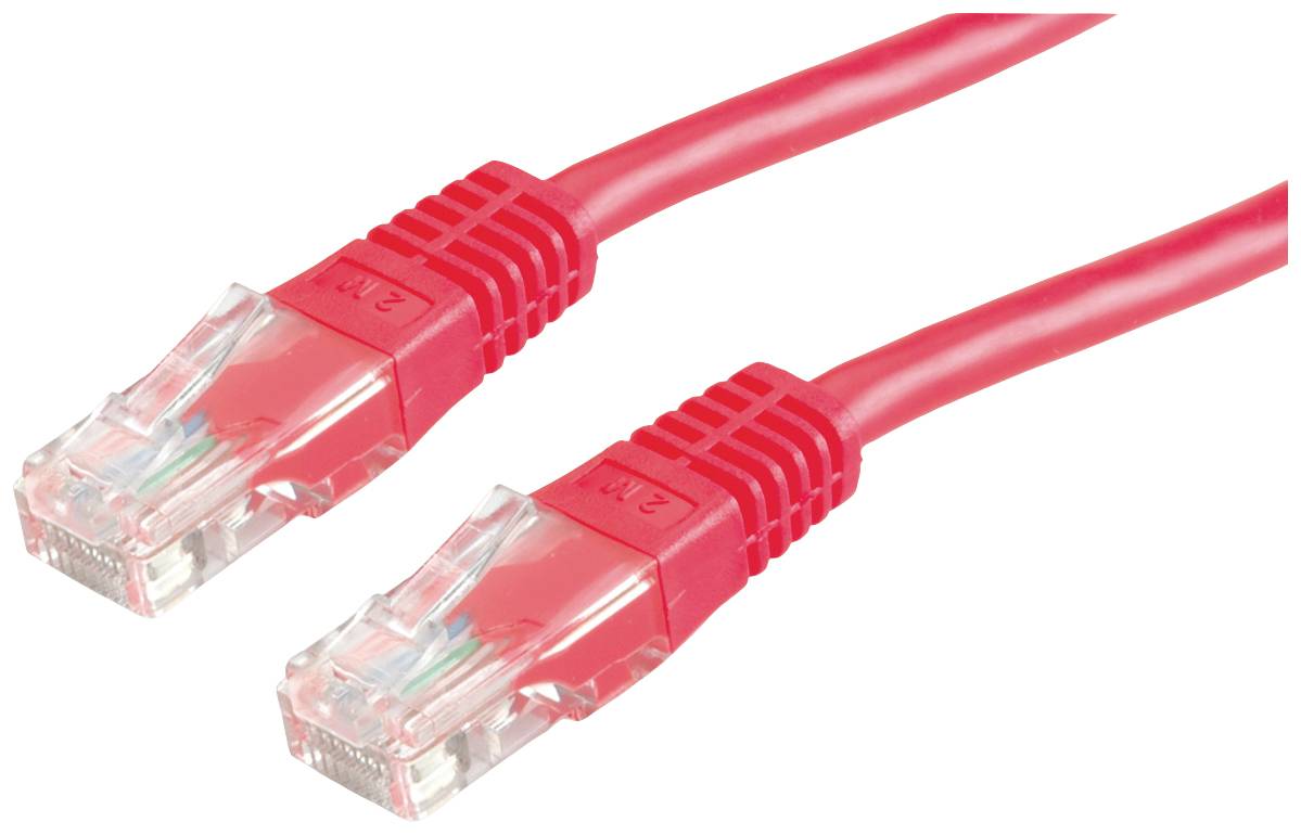 Zwei rote Ethernet-Kabel mit klaren Steckern, zeigen die farbigen Drähte im Inneren und sind für Netzwerkverbindungen geeignet.