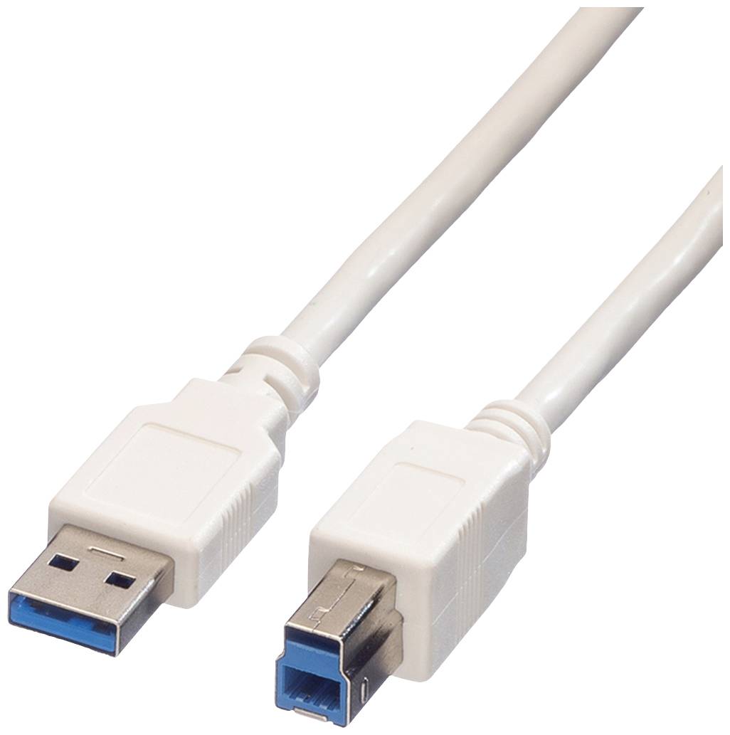 Zwei weiße USB-Kabel, eines mit USB-A-Stecker, das andere mit USB-B-Stecker, auf weißem Hintergrund.