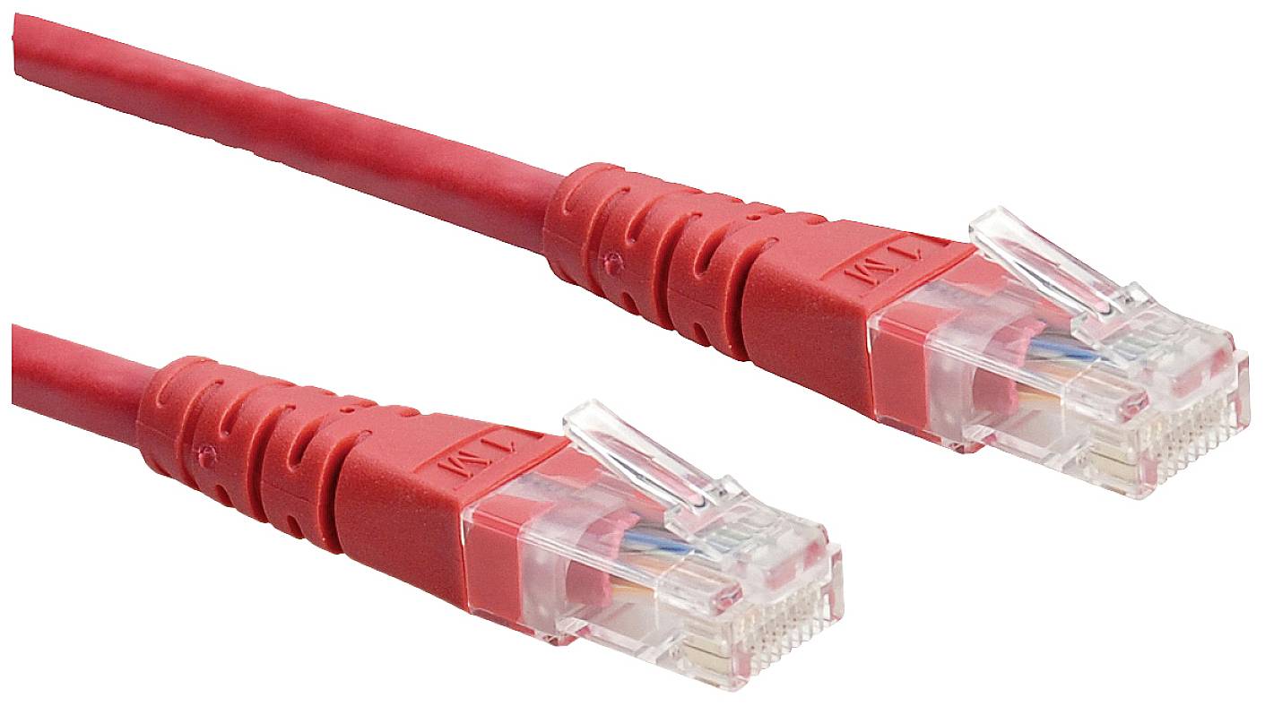 Zwei rote Netzwerkkabel mit transparenten RJ45-Steckern, die für Ethernet-Verbindungen verwendet werden.