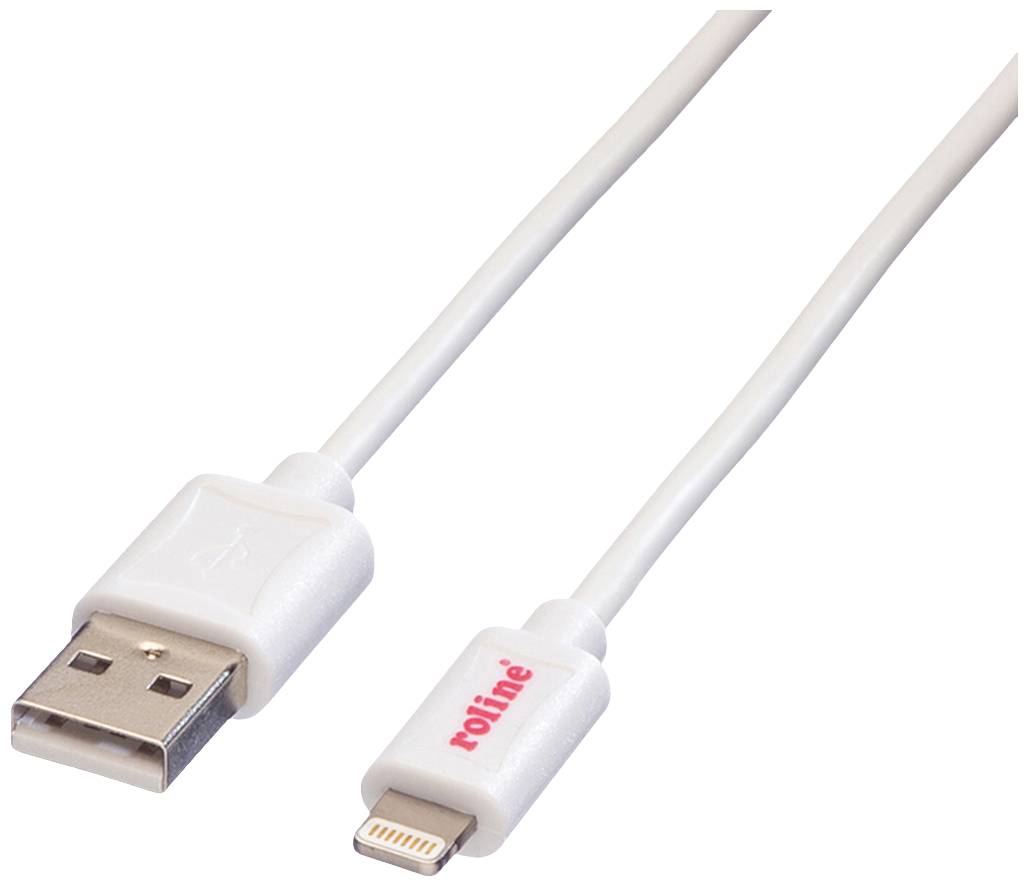 Ein weißes USB-Kabel mit einem USB-A-Stecker auf der linken Seite und einem Lightning-Stecker auf der rechten Seite.