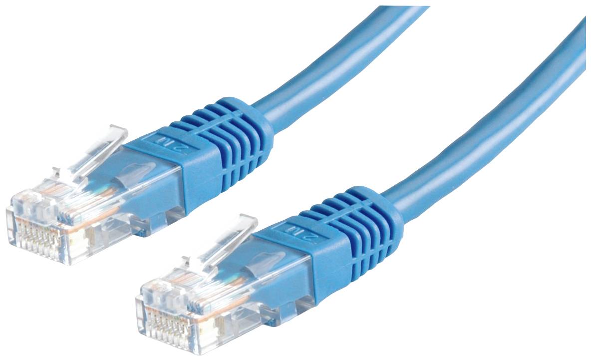 Zwei blaue Ethernet-Kabel mit RJ45-Steckern an beiden Enden, verbunden zur Datenübertragung.