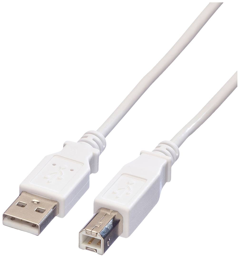 Ein weißes USB-Kabel mit einem USB-A-Stecker auf der einen Seite und einem USB-B-Stecker auf der anderen, vor einem weißen Hintergrund.