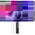 Asus ProArt PA329CV LED-Monitor EEK G (A - G) 81.3cm (32 Zoll) 3840 x 2160 Pixel 16:9 5 ms HDMI®, Kopfhörer (3.5mm Klinke)