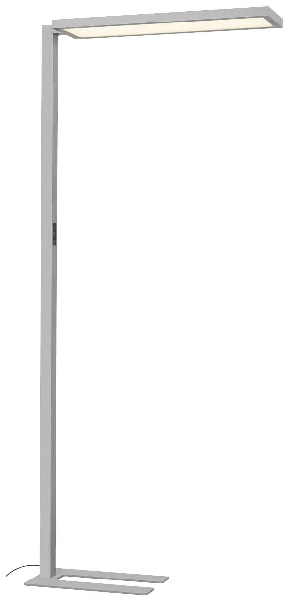 Graue Stehlampe mit rechteckigem, schwenkbarem Leuchtkopf und schlankem, geradem Standfuß. Minimalistisches Design für Büro- oder Wohnräume.