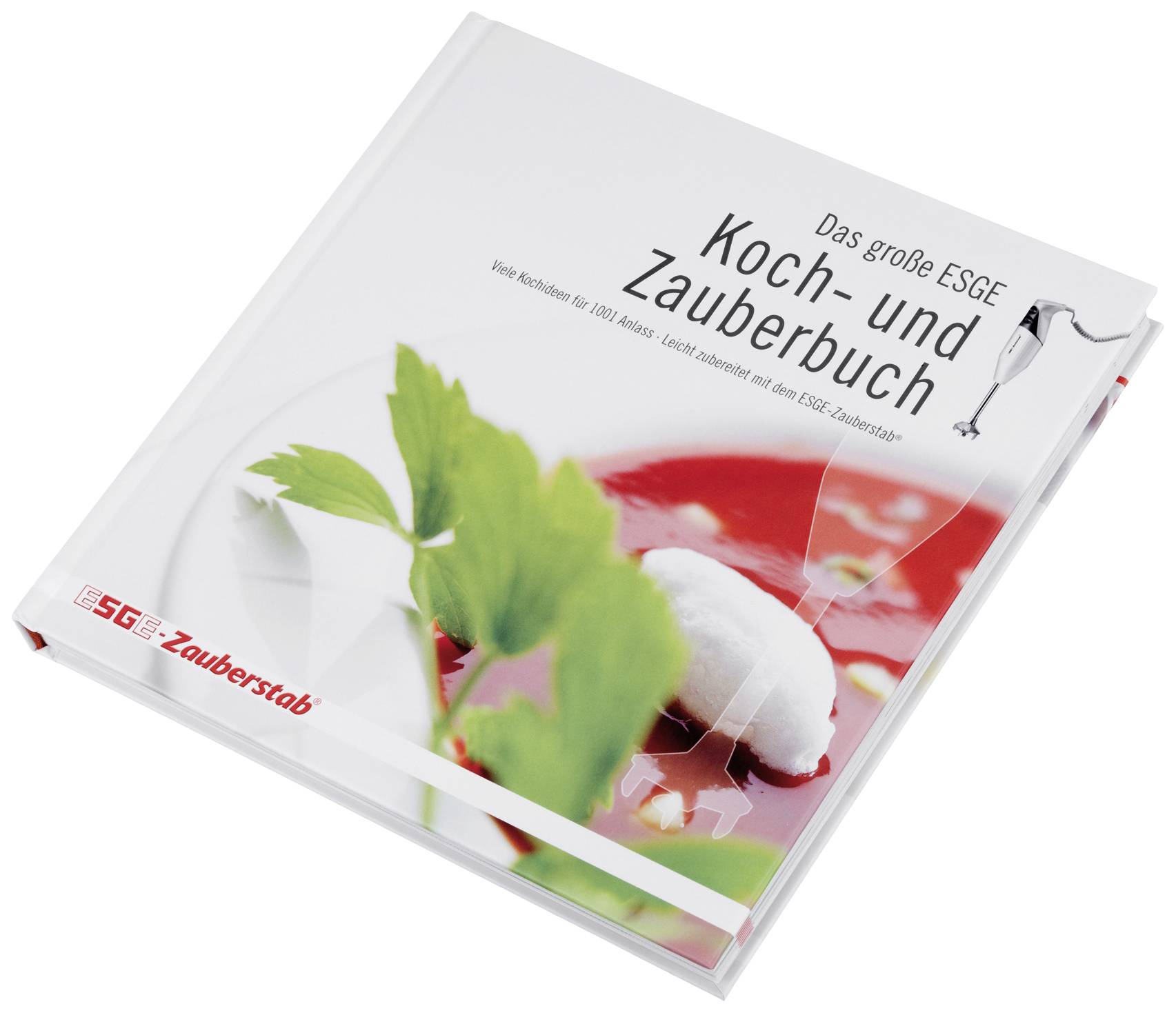 ESGE 7750 Zauberbuch Kochbuch farbig
