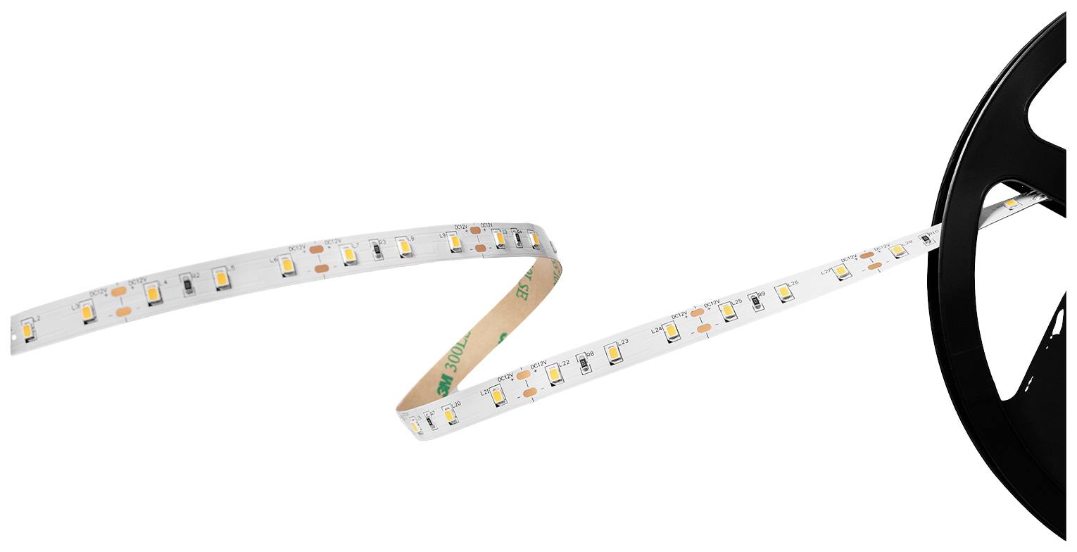 Ein aufgerolltes LED-Lichtband mit mehreren LEDs auf transparentem Hintergrund, bereit zur Installation.