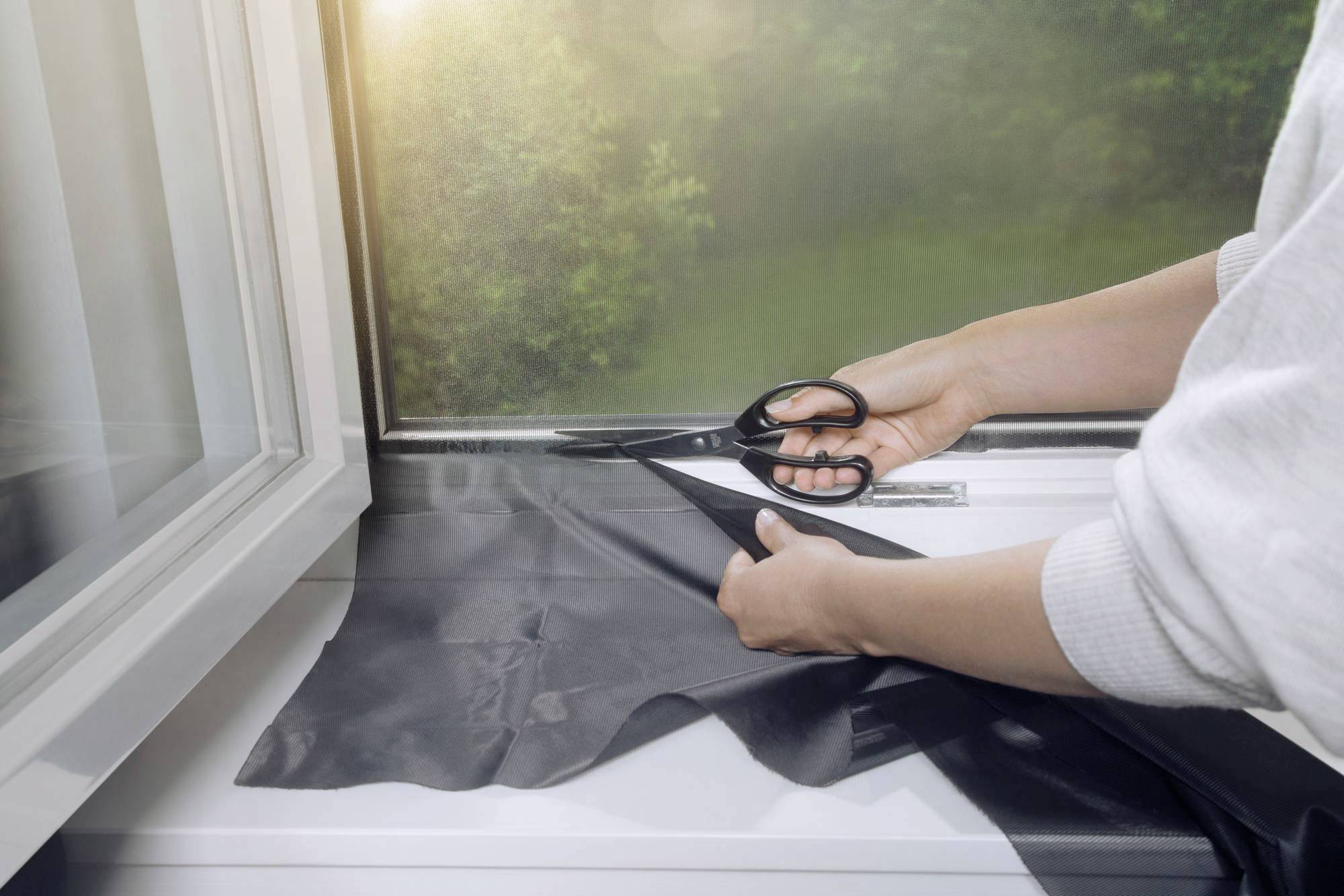 Tesa 55297-00000-00 Pollenschutzgitter (B x H) 1200mm x 2400mm Anthrazit 1St.