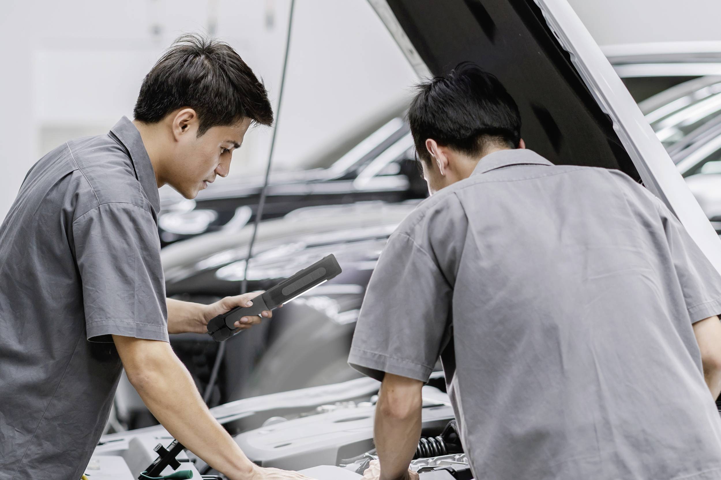 Ansmann WL230B Arbeitsleuchte batteriebetrieben 230 lm 170 g