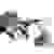 Playmobil® Wiltopia Ameisenbärpflege 71012