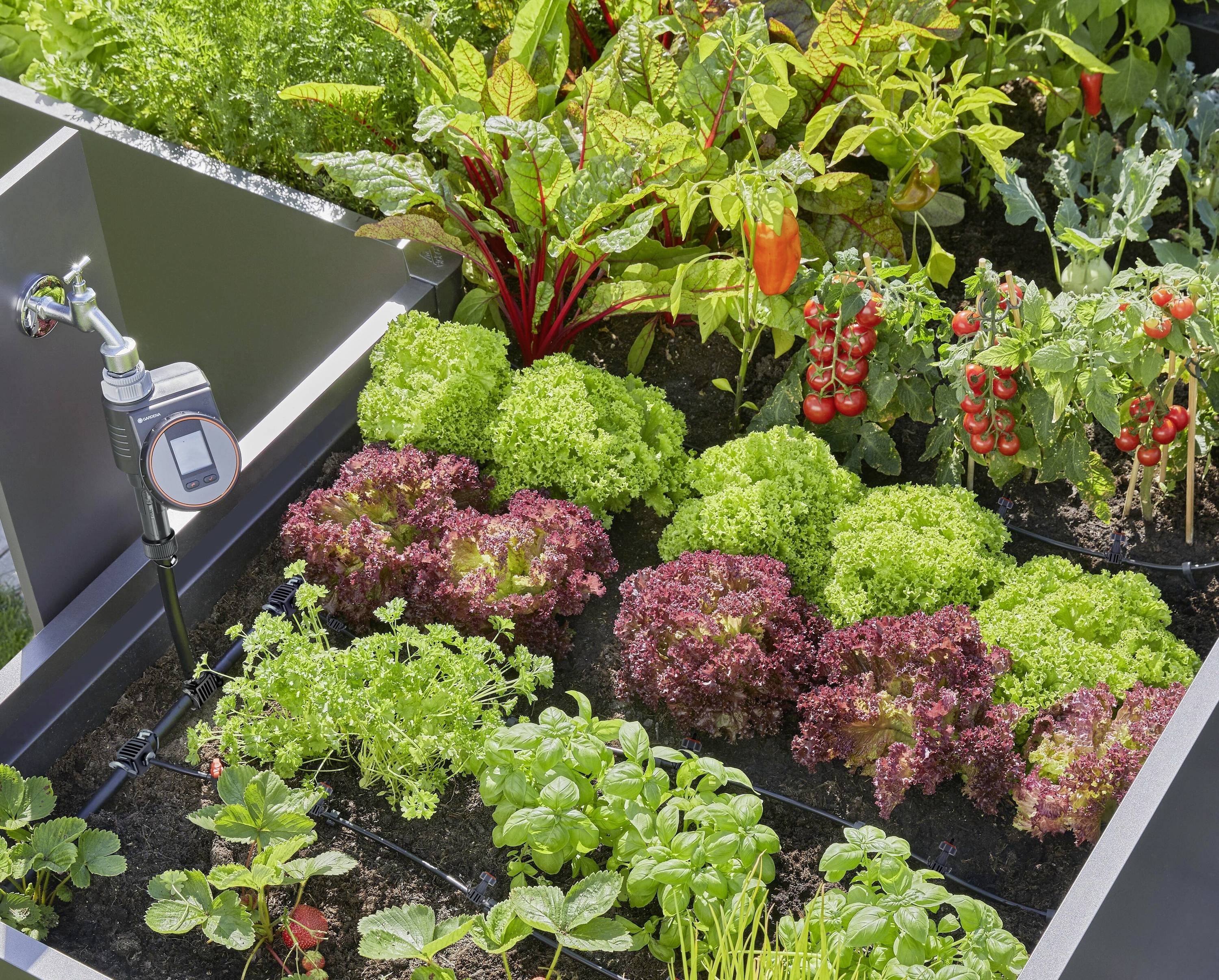 GARDENA Micro-Drip System Tropfbewässerung-Set 13016-51