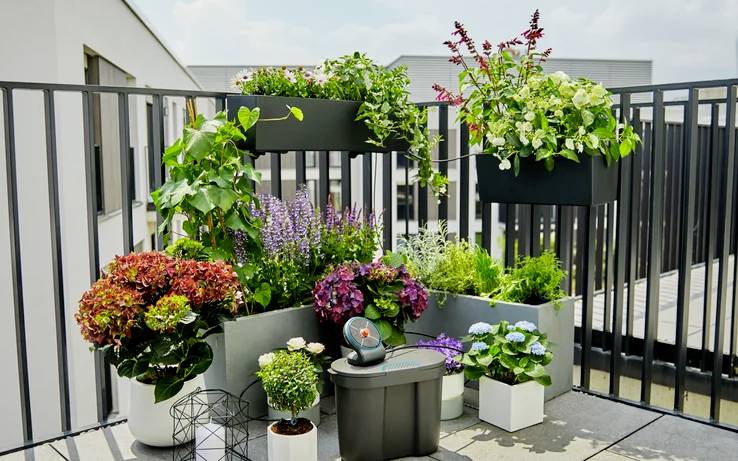 Verschiedene bunte Pflanzen und Blumen in Töpfen auf einem Balkon mit Metallgeländer und modernem Gebäude im Hintergrund.