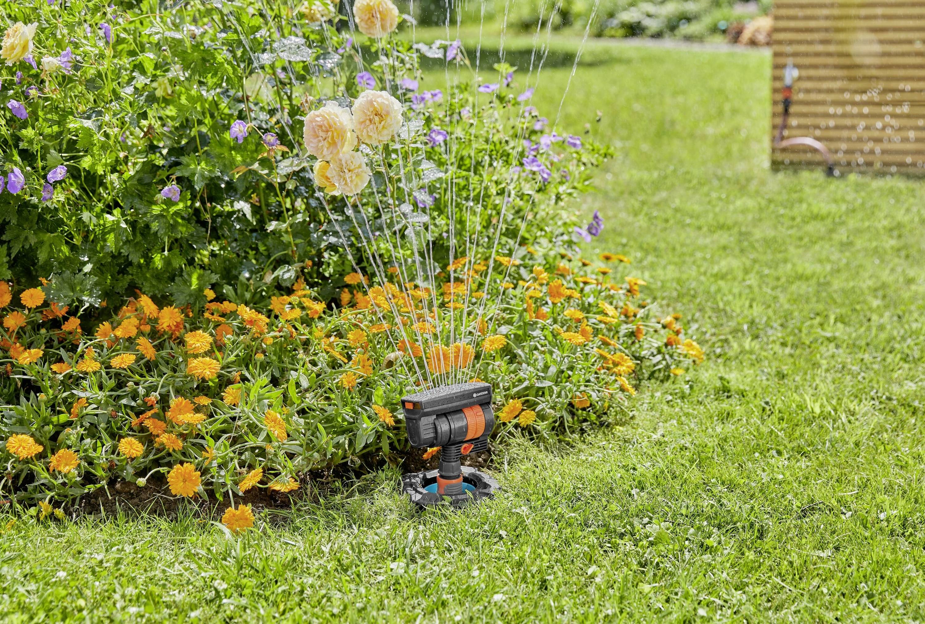 Ein Rasensprenger bewässert einen Garten mit blühenden gelben und orangefarbenen Blumen, umgeben von grünem Gras.