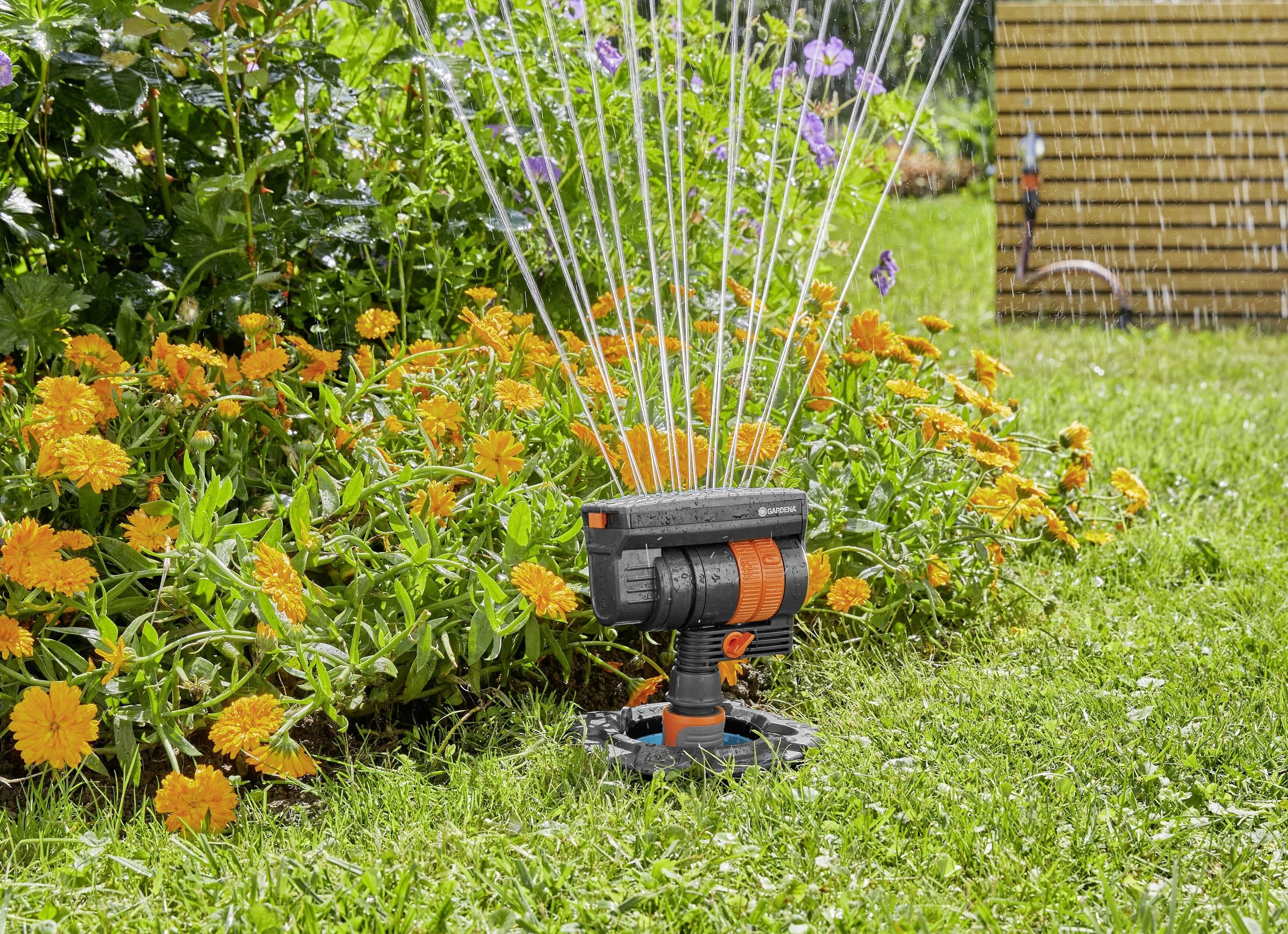 Ein Rasensprinkler bewässert einen blühenden Garten mit orangefarbenen Blumen, Wasserstrahlen fließen in einem Bogen auf den Rasen.