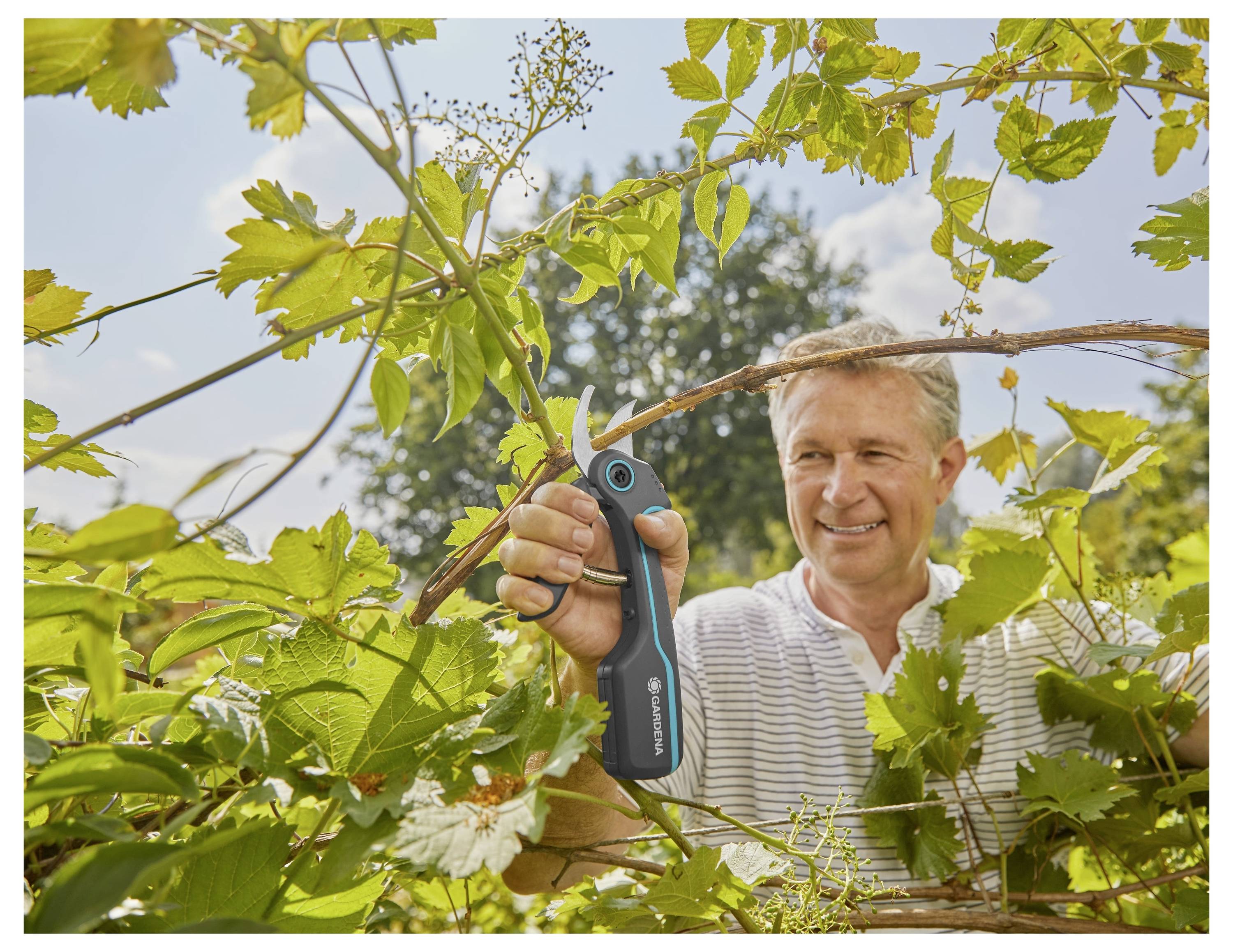 Eine Person hält ein Schneidewerkzeug in der Hand und schneidet Äste in einem Garten ab, umgeben von üppigem grünem Laub unter einem hellen, klaren Himmel.
