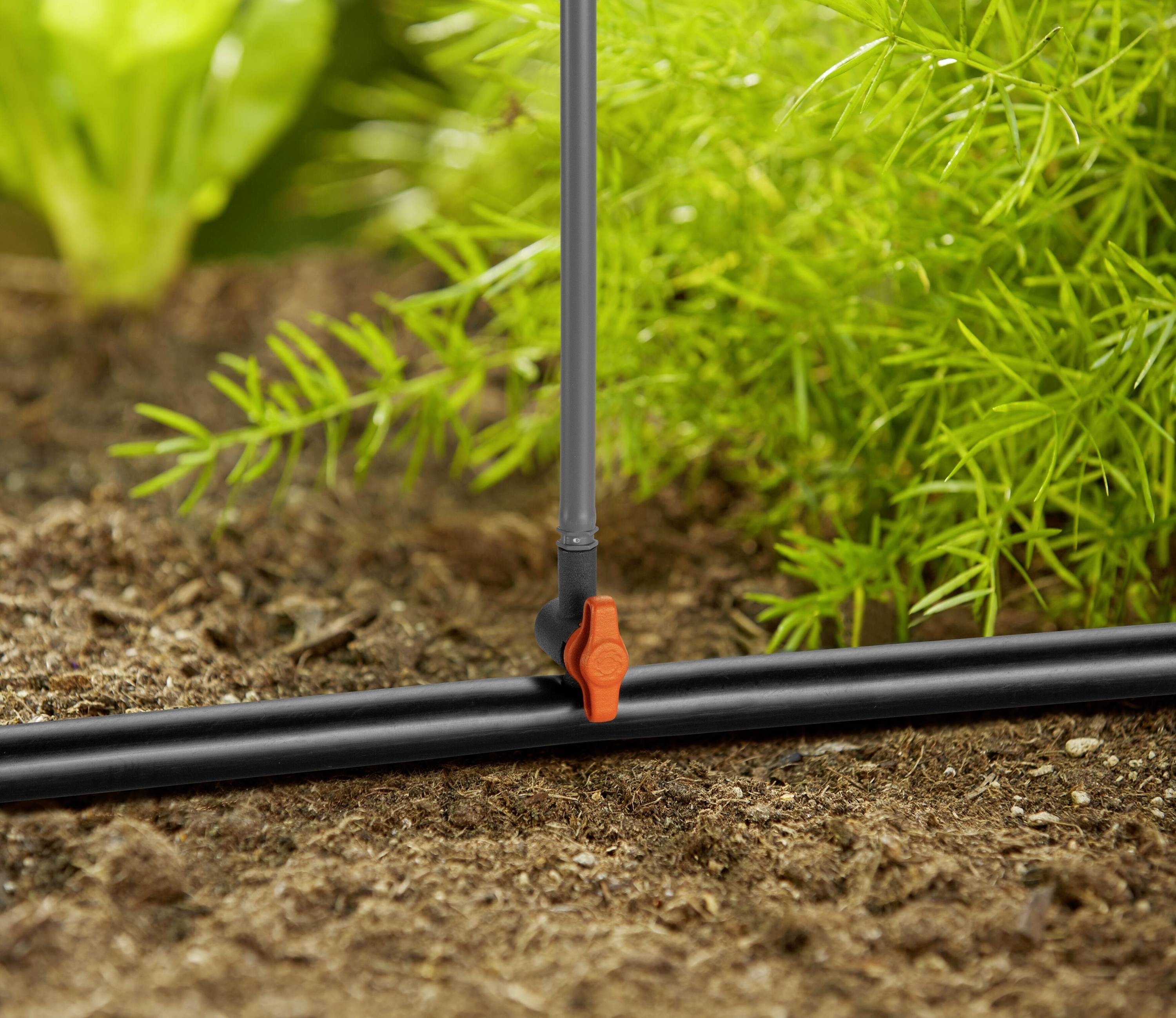 Ein Bewässerungssystem im Garten mit Ventil und Schläuchen; umgeben von Erde und Pflanzen, das System bewässert gezielt.