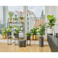 GARDENA Wasserreservoir 13367-20 GARDENA Wasserreservoir 13367-20