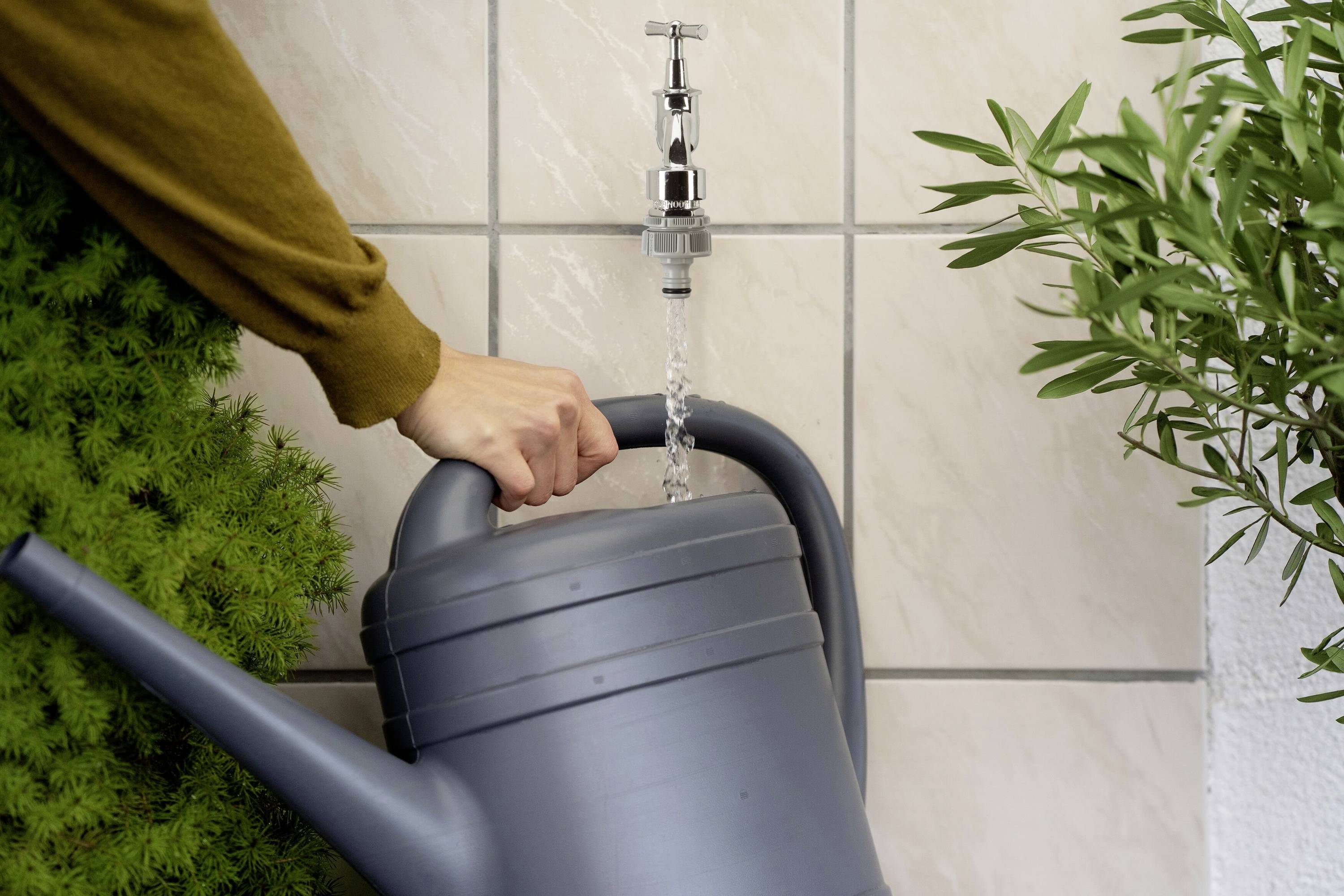 Eine Person füllt eine graue Gießkanne mit Wasser aus einem silbernen Wasserhahn. Im Hintergrund sind grüne Pflanzen sichtbar.