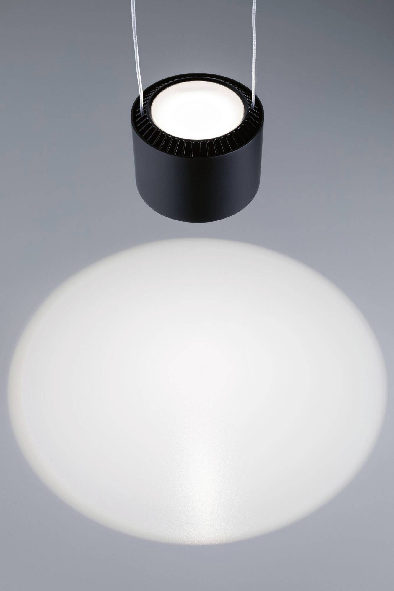 Paulmann Pendel Aldan Hochvolt-Schienensystem-Leuchte URail LED Schwarz (matt), Schwarz