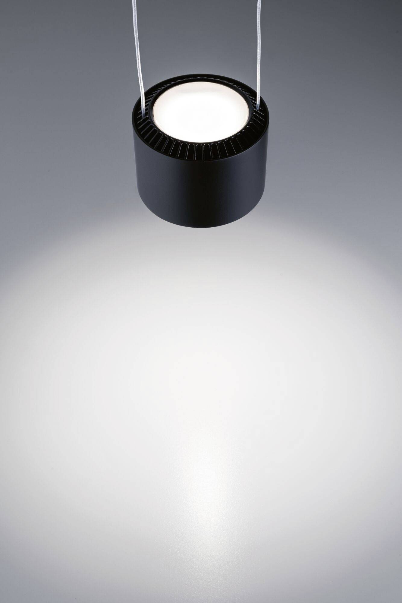 Paulmann Pendel Aldan Hochvolt-Schienensystem-Leuchte URail LED Schwarz (matt), Schwarz