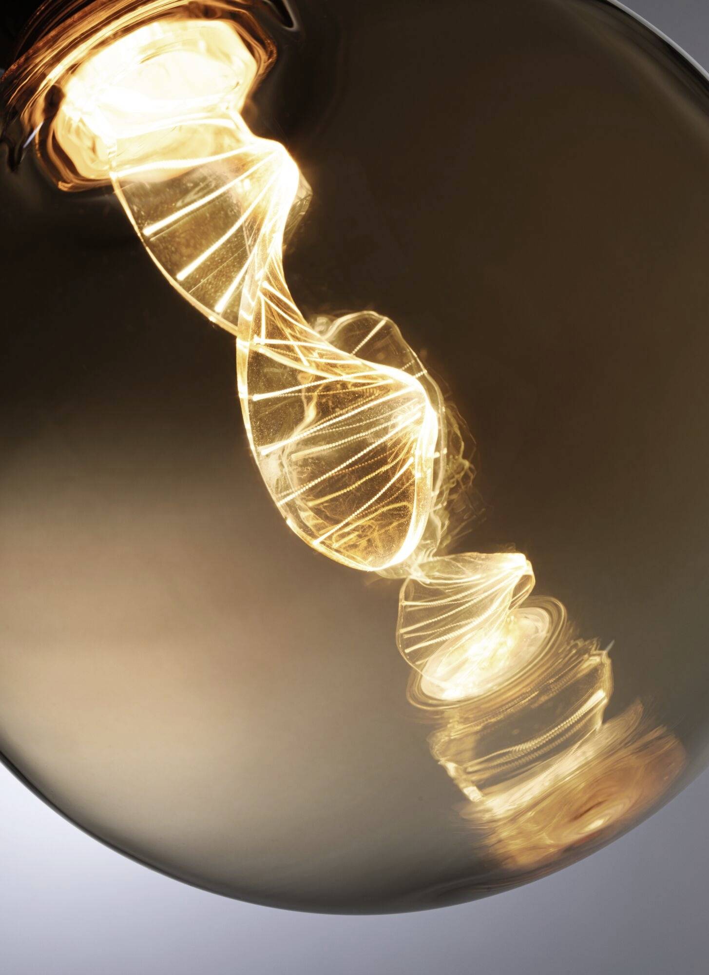 Paulmann 28881 LED E27 Globeform 3.5W = 19W Gold (Ø x H) 125mm x 164mm 1St.