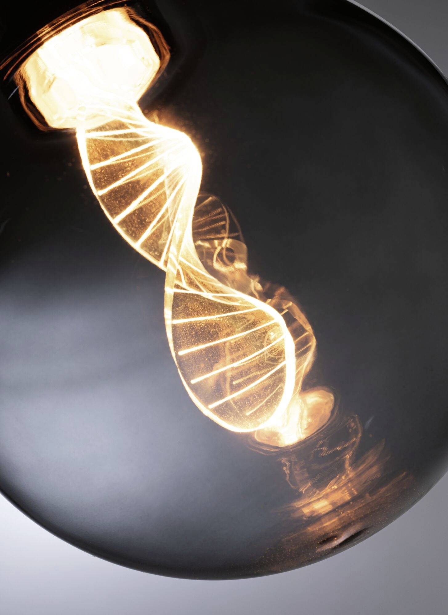 Paulmann 28882 LED E27 Globeform 3.5W = 10W Gold (Ø x H) 125mm x 164mm 1St.