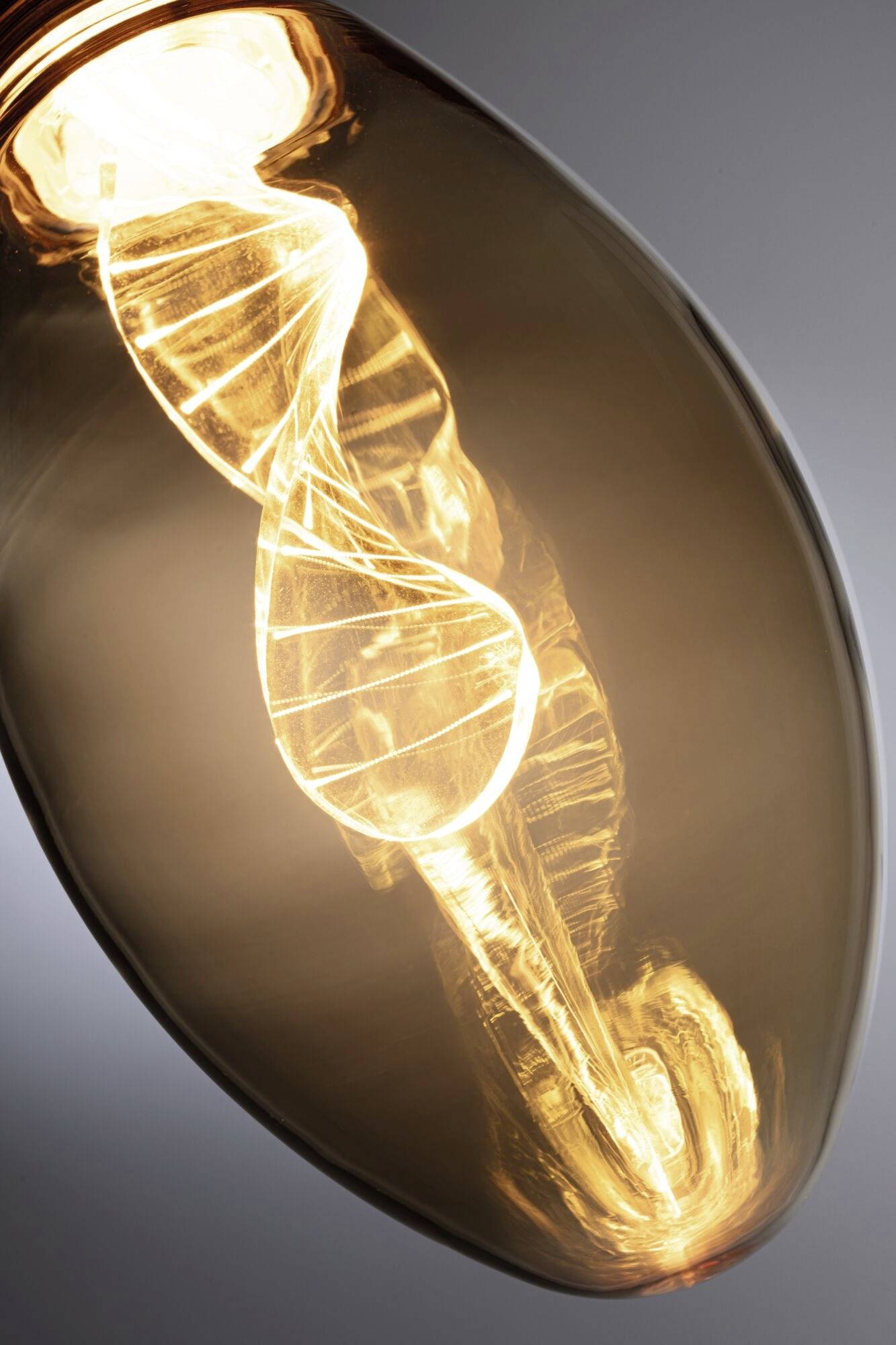 Paulmann 28884 LED E27 Kerzenform 3.5W = 19W Gold (Ø x H) 75mm x 164mm 1St.