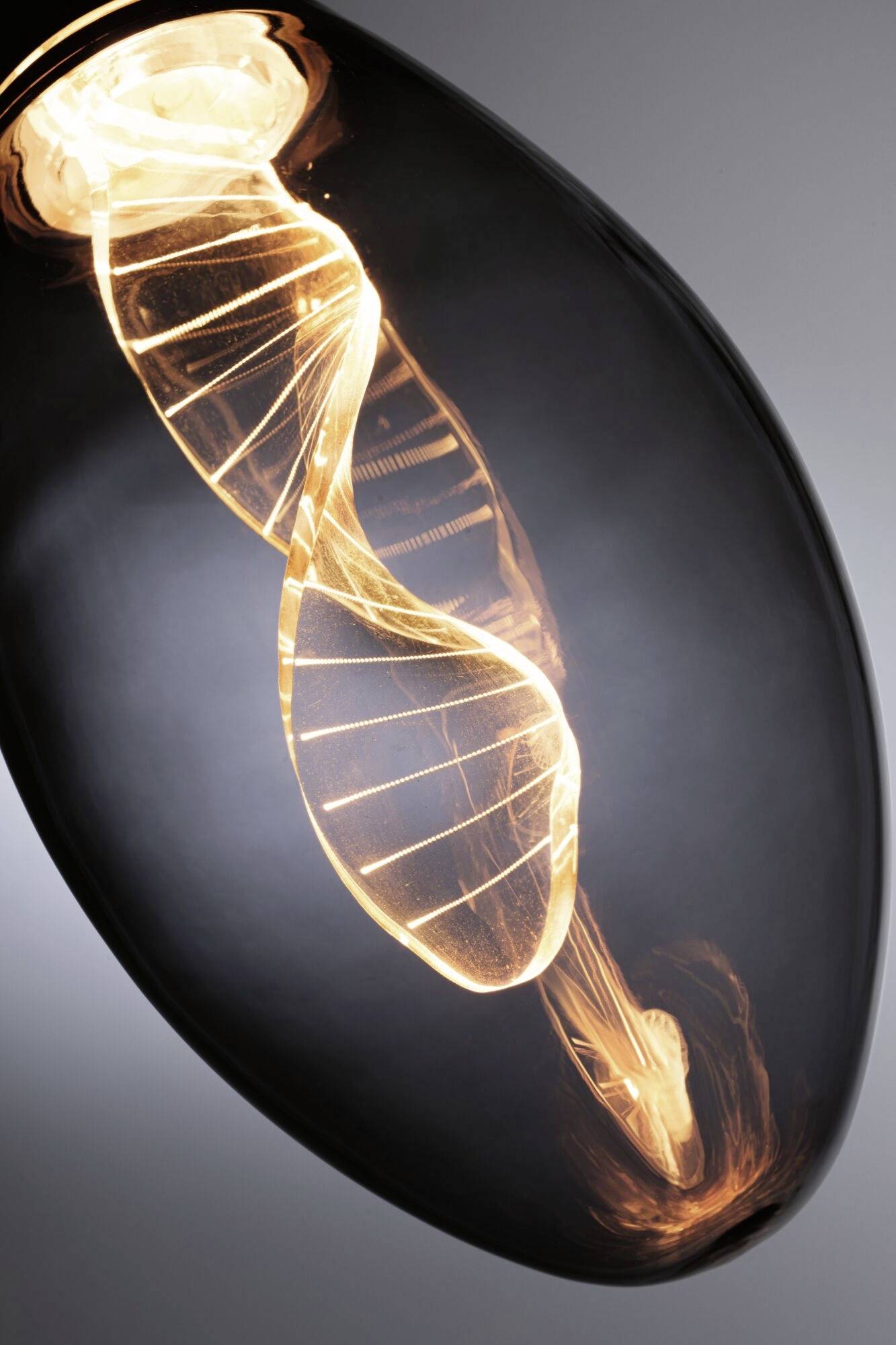 Paulmann 28883 LED E27 Kerzenform 3.5W = 10W Gold (Ø x H) 75mm x 164mm 1St.