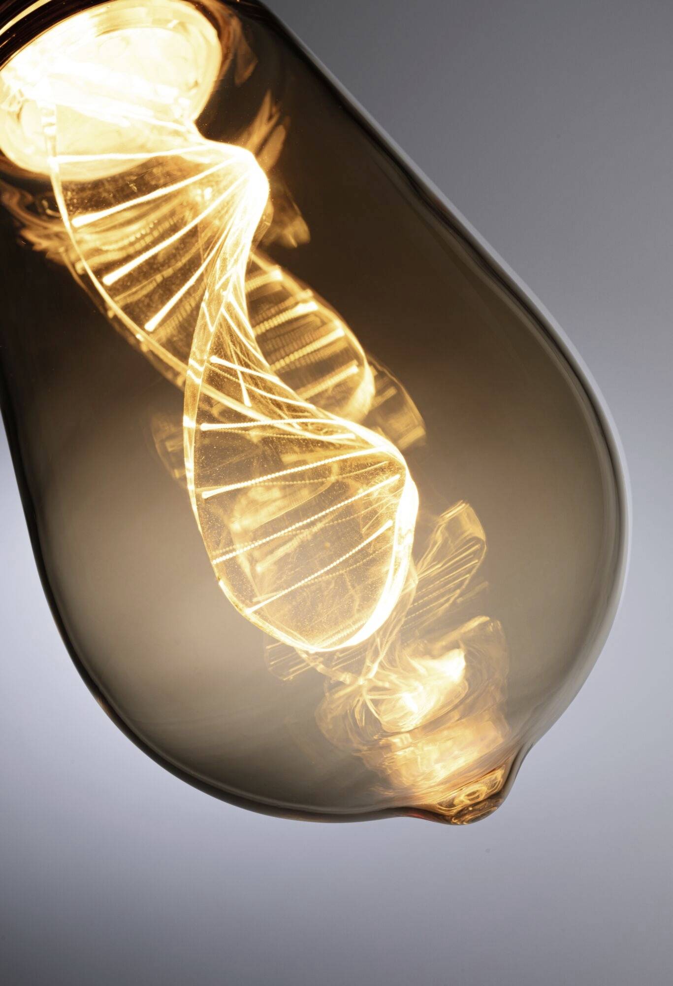 Paulmann 28885 LED E27 Spezialform 3.5W = 19W Gold (Ø x H) 64mm x 142mm 1St.