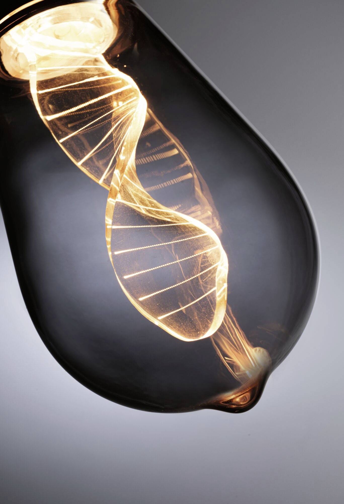 Paulmann 28886 LED E27 Spezialform 3.5W = 10W Gold (Ø x H) 64mm x 142mm 1St.