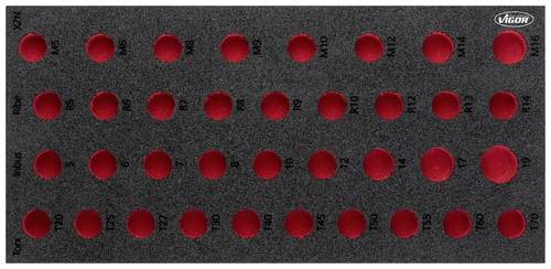 Vigor V5099-L V5099-L Schaumstoffeinlage (L x B) 393 mm x 188 mm
