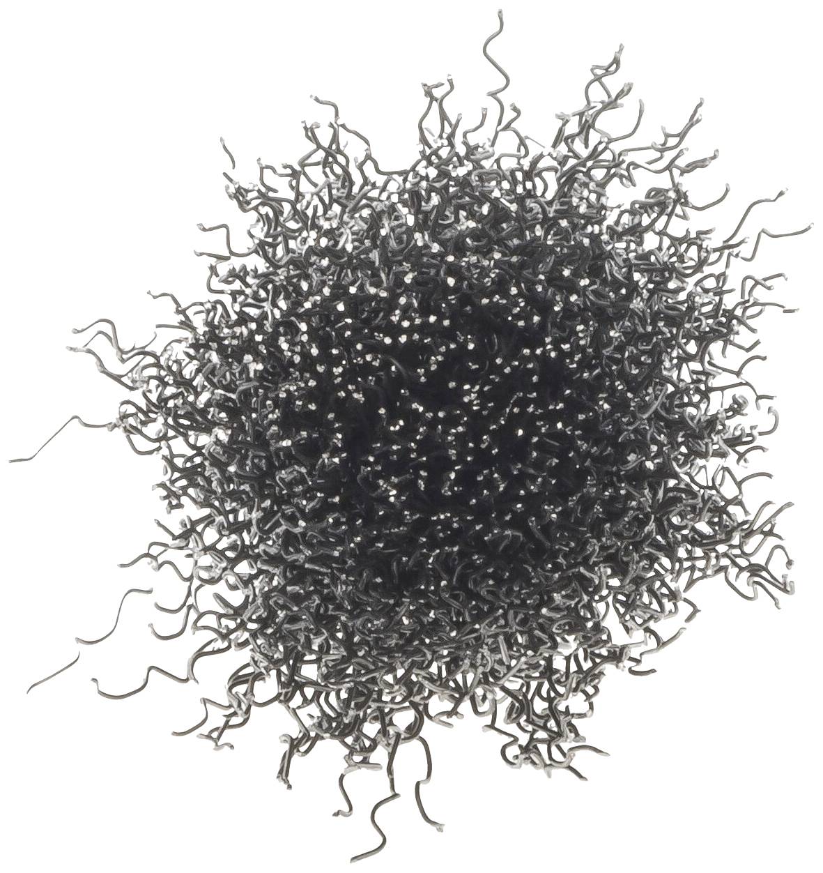 Vigor Pinselkopfbürste V6802 V6802 1St.