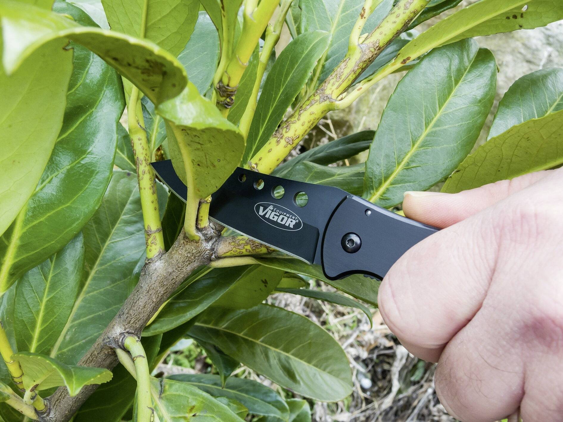 Vigor V4651 V4651 Klappmesser